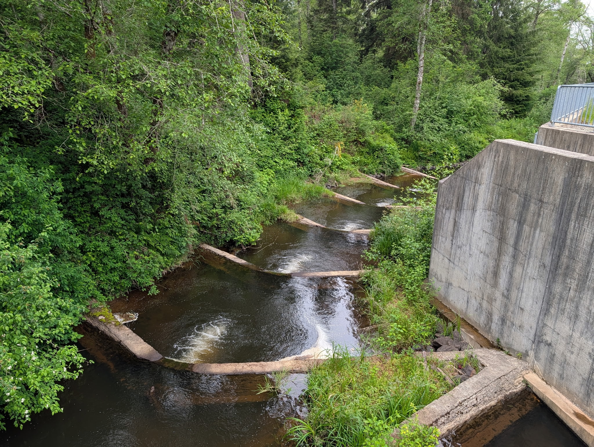 fish ladder