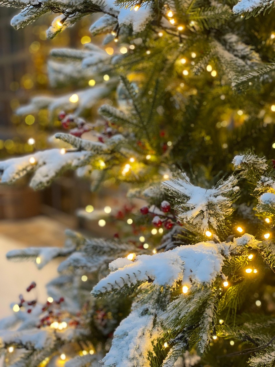 christmas tree branches